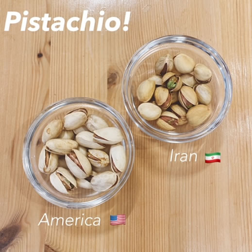 焙煎仕立て【PISTACHIO】100g